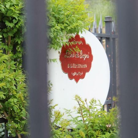 Libro Di Sogni - B&B Letterario Caserta Vecchia Zewnętrze zdjęcie