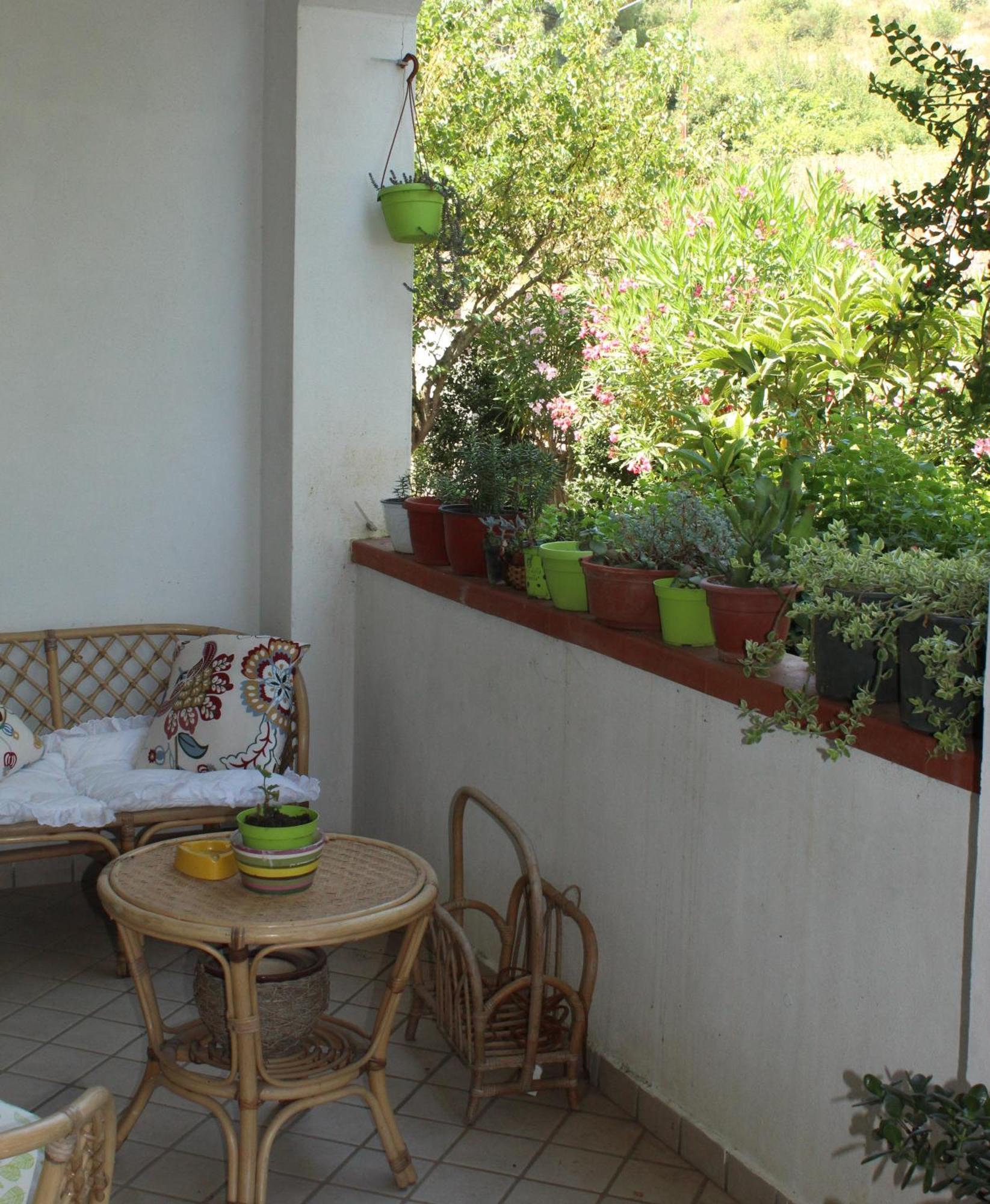 Libro Di Sogni - B&B Letterario Caserta Vecchia Zewnętrze zdjęcie
