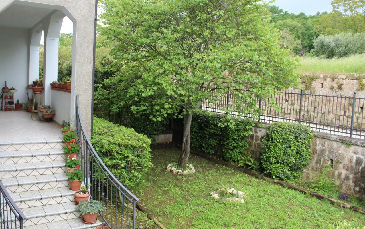 Libro Di Sogni - B&B Letterario Caserta Vecchia Zewnętrze zdjęcie